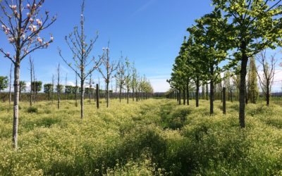# Mai/Juin 2019