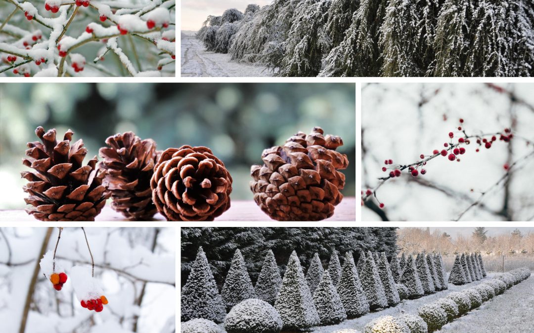 Meilleurs voeux pour cette nouvelle année